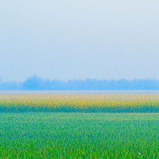 Contour Reactor style, Midjourney V6.1: realistic landscape photograph of quiet dawn