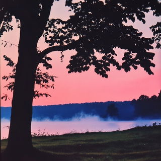 Cartogardenism style, Midjourney V6.1: realistic landscape photograph of quiet dawn