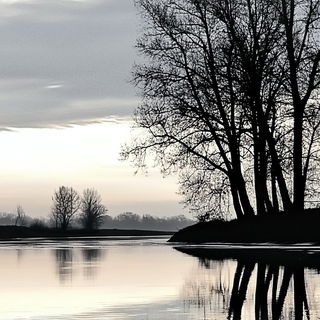 Mycelial Grandtour style, Midjourney V6.1: realistic landscape photograph of quiet dawn