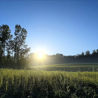 Sporewater style, Midjourney V6.1: realistic landscape photograph of quiet dawn