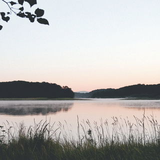 Ornifloric style, Midjourney V6.1: realistic landscape photograph of quiet dawn