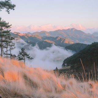 Rocaille Vitreous style, Midjourney V6.1: realistic landscape photograph of quiet dawn