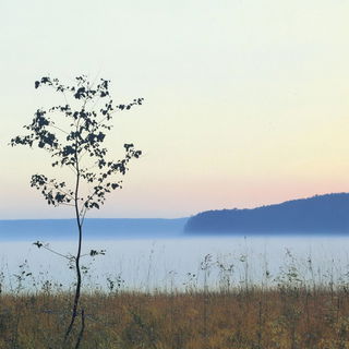 Chlorofallism style, Midjourney V6.1: realistic landscape photograph of quiet dawn