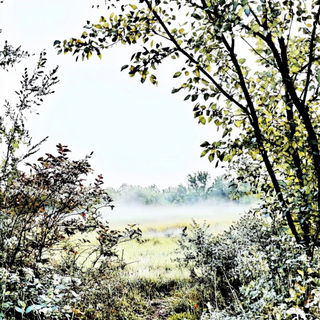 Moonhammer Inkworks style, Midjourney V6.1: realistic landscape photograph of quiet dawn