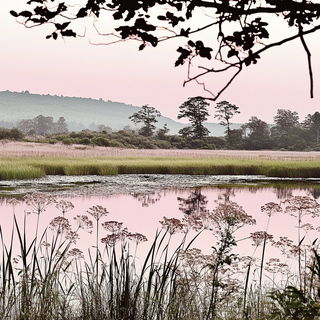Stripecrow Paperglyphics style, Midjourney V6.1: realistic landscape photograph of quiet dawn