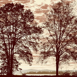 Glacierpunk style, Midjourney V6.1: realistic landscape photograph of quiet dawn