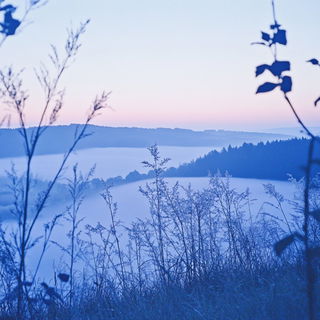 Contourvista style, Midjourney V6.1: realistic landscape photograph of quiet dawn