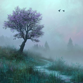 Tenonwild style, Midjourney V6.1: realistic landscape photograph of quiet dawn