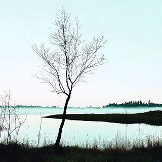 Hatchwild style, Midjourney V6.1: realistic landscape photograph of quiet dawn