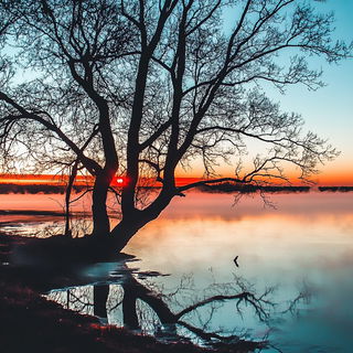 Marblegate Velocism style, Midjourney V6.1: realistic landscape photograph of quiet dawn