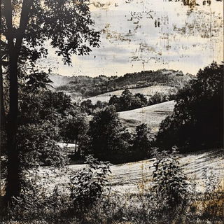 Lintel Whale style, Midjourney V6.1: realistic landscape photograph of quiet dawn