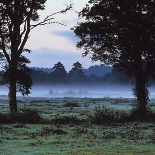 Needlepoint Pilgrimage style, Midjourney V6.1: realistic landscape photograph of quiet dawn