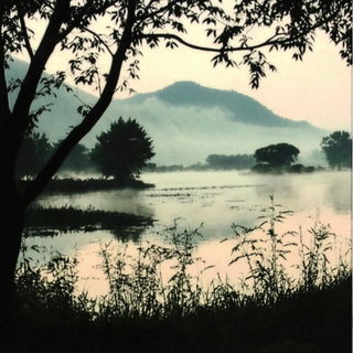 Silhouette Signal style, Midjourney V6.1: realistic landscape photograph of quiet dawn