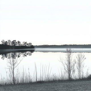 Rubroherbarium style, Midjourney V6.1: realistic landscape photograph of quiet dawn