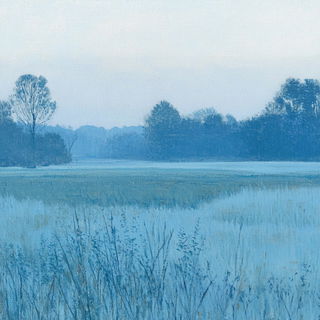 Ruinocarto style, Midjourney V6.1: realistic landscape photograph of quiet dawn