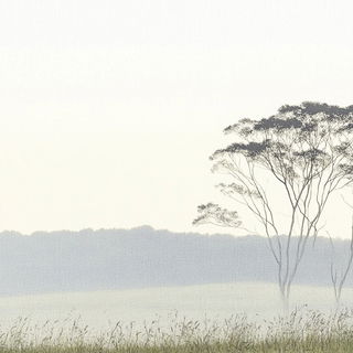 Tessellated Torrentism style, Midjourney V6.1: realistic landscape photograph of quiet dawn