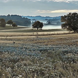 Portalbrick style, Midjourney V6.1: realistic landscape photograph of quiet dawn