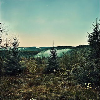 Glaciergarden style, Midjourney V6.1: realistic landscape photograph of quiet dawn