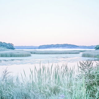 Harbour Hibiscus style, Midjourney V6.1: realistic landscape photograph of quiet dawn