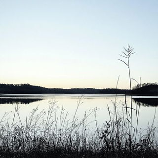 Cliffmolt style, Midjourney V6.1: realistic landscape photograph of quiet dawn