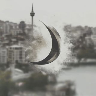 Refraction Orchard style, Midjourney V6.1: bold minimalist logo design for Istanbul city municipal services