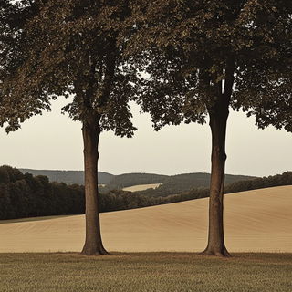 Cliffchromatica style, Midjourney V6.1: realistic landscape photograph of quiet dawn