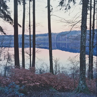 Solitary Architrave style, Midjourney V6.1: realistic landscape photograph of quiet dawn