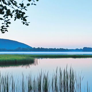 Sunfire Champleve style, Midjourney V6.1: realistic landscape photograph of quiet dawn