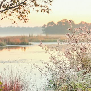 Inkhatch Meridian style, Midjourney V6.1: realistic landscape photograph of quiet dawn