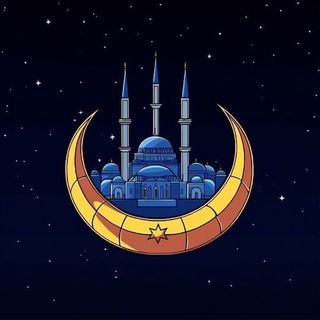 Chromatic Wetland Brocade style, Midjourney V6.1: bold minimalist logo design for Istanbul city municipal services