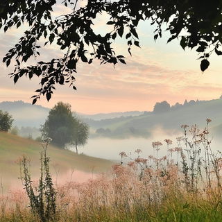 Photomaquettism style, Midjourney V6.1: realistic landscape photograph of quiet dawn