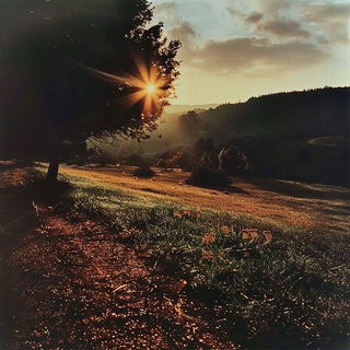 Dichroic Landscape Salon style, Midjourney V6.1: realistic landscape photograph of quiet dawn