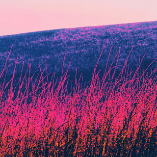 Palacefluvia style, Midjourney V6.1: realistic landscape photograph of quiet dawn