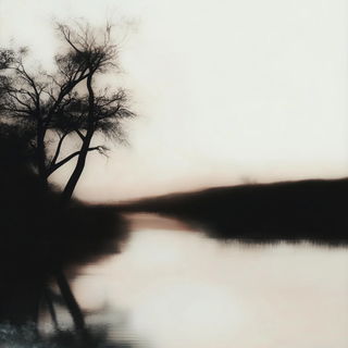 Bristlemosaic style, Midjourney V6.1: realistic landscape photograph of quiet dawn
