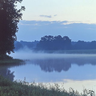 Marionarchic style, Midjourney V6.1: realistic landscape photograph of quiet dawn