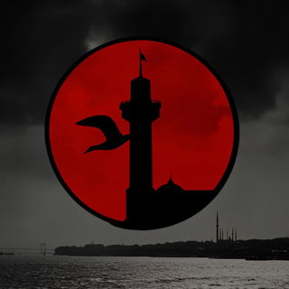 Contourmask style, Midjourney V6.1: bold minimalist logo design for Istanbul city municipal services