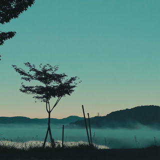 Gutterweft style, Midjourney V6.1: realistic landscape photograph of quiet dawn