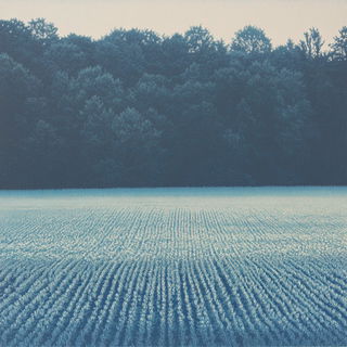 Harbor of White Arches style, Midjourney V6.1: realistic landscape photograph of quiet dawn