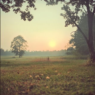 Sunsurge Jive style, Midjourney V6.1: realistic landscape photograph of quiet dawn