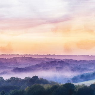 Sporehalo style, Midjourney V6.1: realistic landscape photograph of quiet dawn