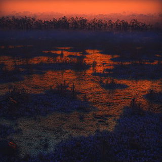 Contourstitch style, Midjourney V6.1: realistic landscape photograph of quiet dawn