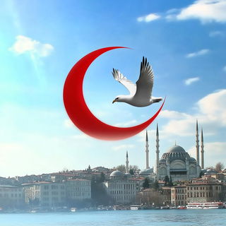 Botanoballet style, Midjourney V6.1: bold minimalist logo design for Istanbul city municipal services