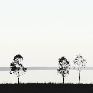 Lavender Toner Works style, Midjourney V6.1: realistic landscape photograph of quiet dawn