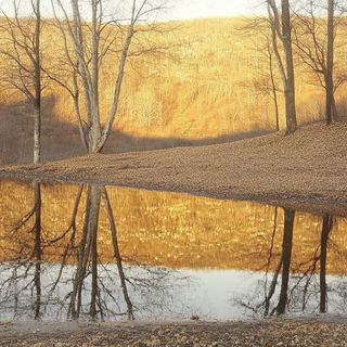 Cogpetal Storyworks style, Midjourney V6.1: realistic landscape photograph of quiet dawn