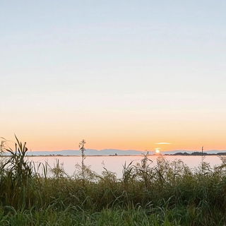 Scarabaeus Interface style, Midjourney V6.1: realistic landscape photograph of quiet dawn