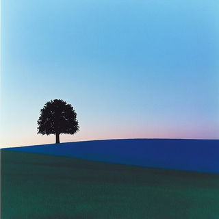 Celblossom style, Midjourney V6.1: realistic landscape photograph of quiet dawn