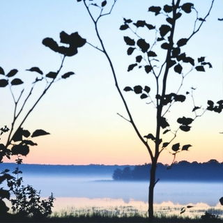 Misregistration Red style, Midjourney V6.1: realistic landscape photograph of quiet dawn