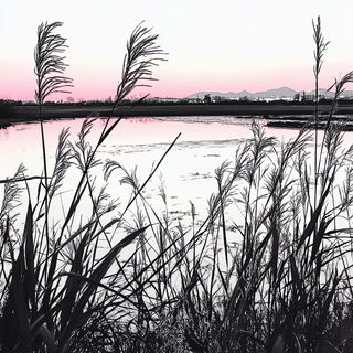 Cryoveil style, Midjourney V6.1: realistic landscape photograph of quiet dawn