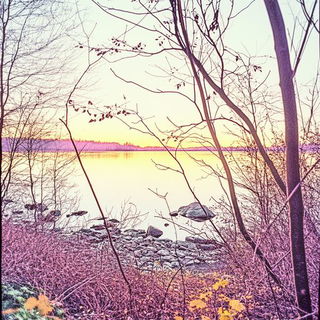 Bioluxure style, Midjourney V6.1: realistic landscape photograph of quiet dawn