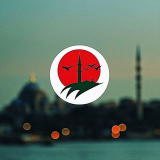 Briar Gauge style, Midjourney V6.1: bold minimalist logo design for Istanbul city municipal services